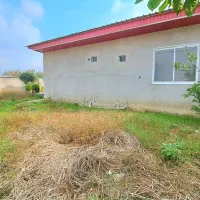 ویلانوساز/باسندتک برگ/همراه باشوفاژوپکیج|فروش خانه و ویلا|فریدونکنار, |دیوار