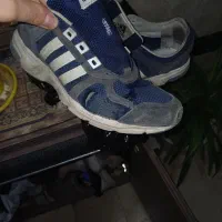 اکومنت اورجینال سایز ۴۳نیم