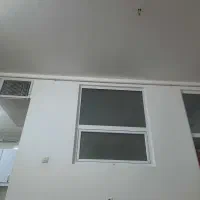 هم خونه. آقا هستم