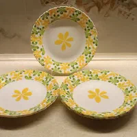 بشقاب برنج خوری آرکوپال جهت کسری|ظروف سرو و پذیرایی|مشهد, کلاهدوز|دیوار