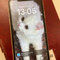 آیفون ۱۱ پلمپ|موبایل|بابل, |دیوار