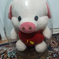 عروسک خوک خارجی درحد نو