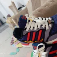 فروشی|کیف، کفش، کمربند|نسیم‌شهر, |دیوار