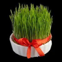 ساخت پی آن جی و لوگو مخصوص