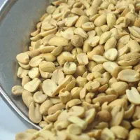 بادام زمینی مخصوص کره|خوردنی و آشامیدنی|مشهد, کشاورز|دیوار