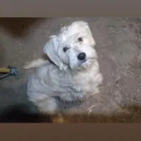 هرعزیزی بگه کجا پیش کی دید شیرینیش محفوض