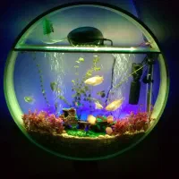 آکواریوم خاص