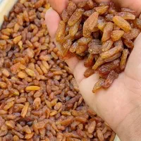 فروش کشمش آفتابی کاشمر|خوردنی و آشامیدنی|کاشمر, |دیوار