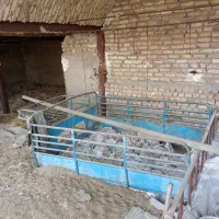 باربندنیسان