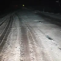 زمین ننله میدان سبد