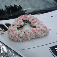 گل آرایی ماشین عروس دسته گل عروس|خدمات پذیرایی، مراسم|مشهد, سپاد|دیوار