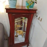 قفس پرنده خاص