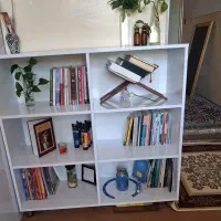 قفسه کتاب