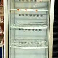 یخچال تک در زاگرس