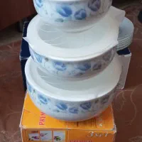 سرویس طرح عینکی بلورفرانسه ودیس چینی گل سرخ وبلور|ظروف سرو و پذیرایی|تهران, علم و صنعت|دیوار