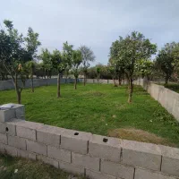 زمین-آپارتمانی-کوچه-12متری-دونبش-رامسرطالقانی