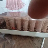 بیگودی حرارتی و مقداری وسایل خانه و لباس