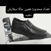 کفش مردانه|کیف، کفش، کمربند|سروآباد, |دیوار