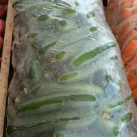 گل کلم وسایل ترشی میوه|خوردنی و آشامیدنی|رباط‌کریم, شترخوار|دیوار