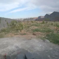 ۹هزار متر چهار دیواری زمین و باغچه و گلخونه|فروش زمین و ملک کلنگی|پاکدشت, پاکدشت (مامازند)|دیوار