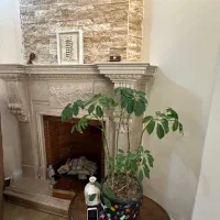 نیاوران / ۱۰۵ متر / ۲ خواب|اجارهٔ آپارتمان|تهران, دزاشیب|دیوار