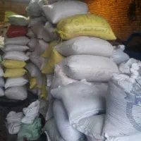 باقله شاخ.بزی