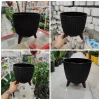 گلدان پایه دار مشکی سیاه لیکاپن پرلیت سانسوریا کاج