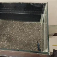 اکواریوم با لوازم|ماهی|تهران, افسریه شمالی|دیوار