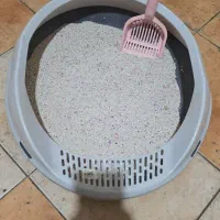 ظرف خاک گربه