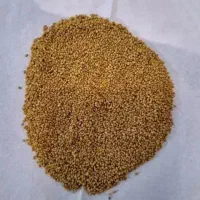 بذر یونجه فروشی