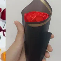 گل روبان|بدلیجات|میناب, |دیوار