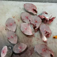 ماهی تازه|ماهی|جهرم, |دیوار