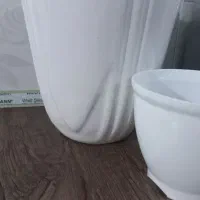 گل دان|گل و گیاه طبیعی|سمنان, |دیوار