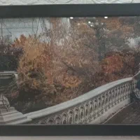 قاب|تابلو، نقاشی، عکس|پرند, فاز ۶|دیوار