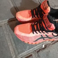 کفش اورجینال آسکیس|کیف، کفش، کمربند|رشت, بازار|دیوار