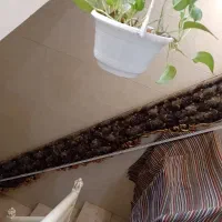 کتیبه پرده|پرده، رانر، رومیزی|اصفهان, ملک‌شهر|دیوار