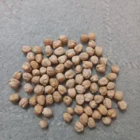 نخود درجه یک کرمانشاه دالاهو قلخانی اصل