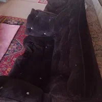 مبل|مبلمان خانگی و میز عسلی|کازرون, |دیوار