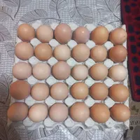 تخم مرغ محلی ارگانیک|خوردنی و آشامیدنی|محلات, |دیوار