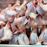 قلم بره پرمغز و تازه