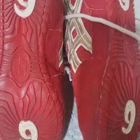 کفش کشتی|تجهیزات ورزشی|شیراز, هفت تنان|دیوار