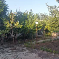 فروش فوری باغ ۷۰۰ متر چهار فصل زیر قیمت و با تخفیف|فروش خانه و ویلا|مشهد, میان ولایت|دیوار