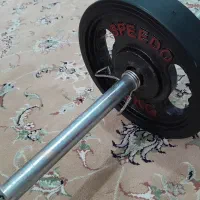 میل و وزنه هالتر