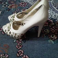 کفش مجلسی|کیف، کفش، کمربند|بجنورد, |دیوار