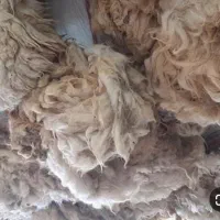 پشم گوسفند