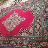 فرش ۶ متری|فرش|شیراز, شاه قلی بیگی|دیوار