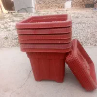 ۶ عددگلدون بزرگ