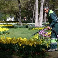 کارگر آبیار فضای سبز
