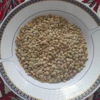 عدس  تازه امسال قره پشتلو