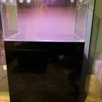 ساخت آکواریوم ریملس  ماهی اب شیرین- آب شور و پلنت